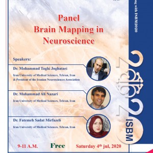 Brain Mapping in Neuroscience